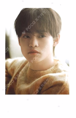 DREAM( )SCAPE ZONE PHOTO SET