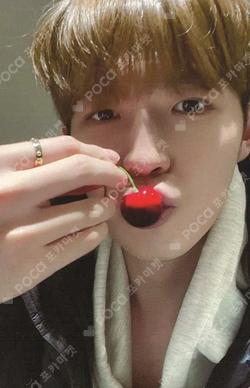 Ponytail M2U KIM JAE HWAN photocard image