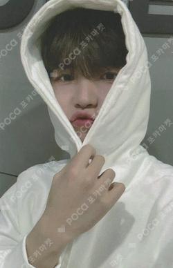 Ponytail MUSIC&DRAMA KIM JAE HWAN photocard image