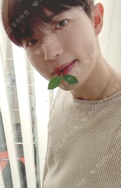 I Adore KIM JAE HWAN photocard image