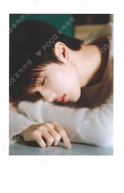 DREAM( )SCAPE ZONE PHOTO SET