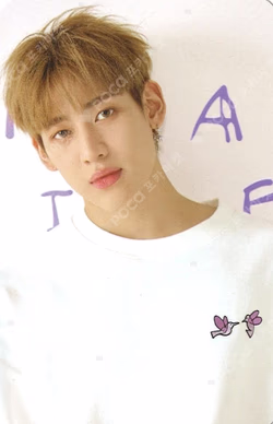 CHARM'S X BamBam