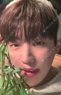 JCFACTORY EVERLINE JaeChan photocard image