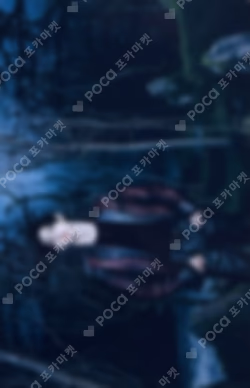 ENHYPEN WORLD TOUR WALK THE LINE Trading Card