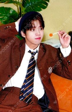 2024 NAM WOO HYUN CONCERT 식목일4 - TREEWORLD MESSAGE PHOTO CARD SET