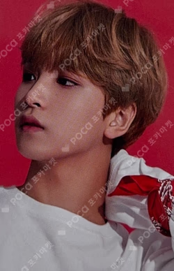 2019 SEASON'S GREETING 11st