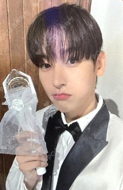 2024 SF9 FAN-CON ‘My 8antasia’ TRADING PHOTO CARD SET