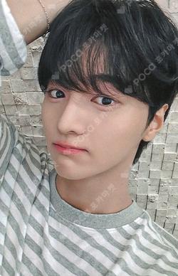 Weekend DEAR MY MUSE CHAJUNHO photocard image