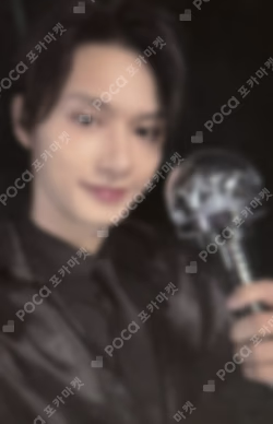 SEVENTEEN RIGHT HERE WORLD TOUR CARAT ZONE