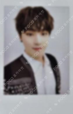 Seventeen DINO photocard image