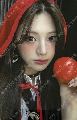 Metamorphic StarRiver Seeun photocard image
