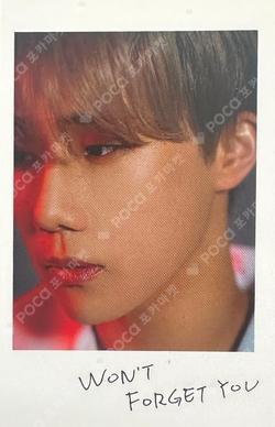 Won't Forget You KimSungKyu photocard image