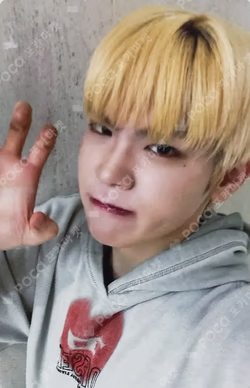 CINEMA PARADISE APPLEMUSIC