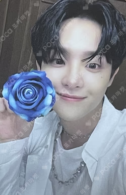 NIGHTGARDEN TREASURE TRADING PHOTO CARD TYPE 2