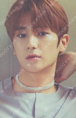 TATTOO HYUNJAE photocard image