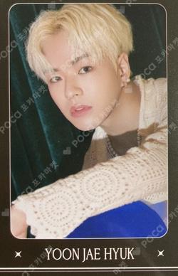 NIGHTGARDEN TREASURE TRADING PHOTO CARD TYPE 1