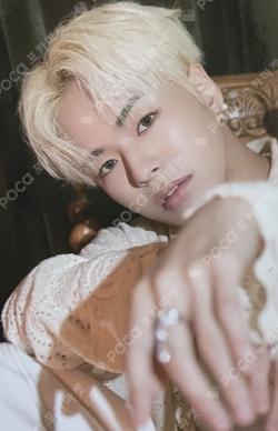 NIGHTGARDEN TREASURE TRADING PHOTO CARD TYPE 1