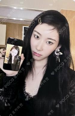 GOLD PHONE BOX VER.