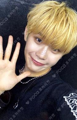 CINEMA PARADISE StarRiver