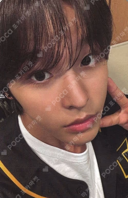 Steady KAKAO TALK