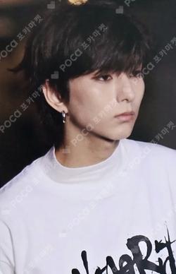 LIVE and FALL Blue Dream Media O.de photocard image