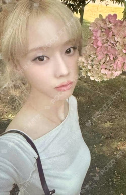 Whiplash SM STORE LUCKY DRAW