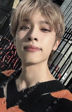 LIVE and FALL Platform Album Nemo ver. FALL ver.