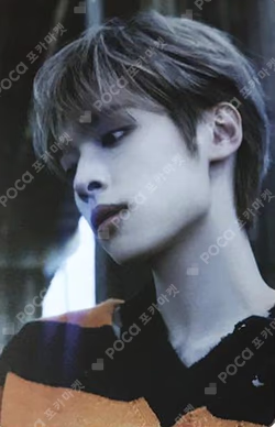 LIVE and FALL Platform Album Nemo ver. FALL ver.