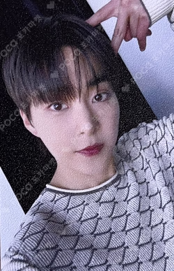 Arena HOMME+