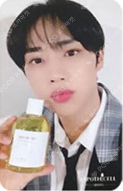 Lapothicell Kakao Shopping Live