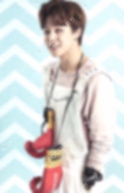 2015 BTS LIVE TRILOGY EPISODE I BTS BEGINS