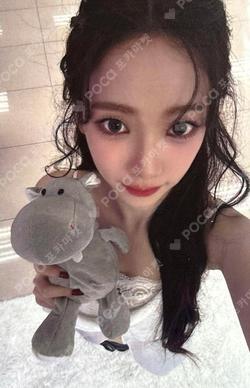 Whiplash TOWER RECORDS KARINA photocard image