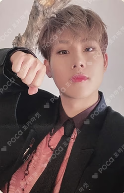 NO LIMIT MYMUSICTASTE