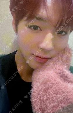 THE ANSWER DEAR MY MUSE PARK JI HOON photocard image