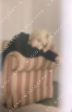 Attacca CARAT Ver.