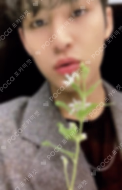 Attacca INTERPARK/MUSICPLANT