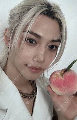 Pocamarket, Stray Kids FELIX DICON VOLUME N°21 STRAY KIDS