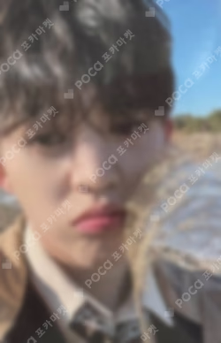 Face the Sun WEVERSE