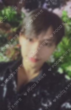 Face the Sun CARAT Ver.