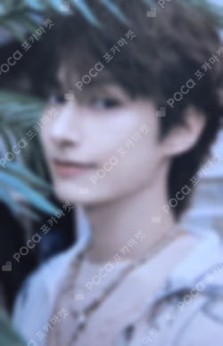 SPILL THE FEELS Photo Card Binder FEEL YOU ver.
