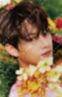 SECTOR 17 KiT ver. JUN photocard image