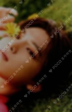SECTOR 17 KiT ver. DINO photocard image