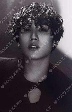 導火線 Platform ver. Vanguard ver.