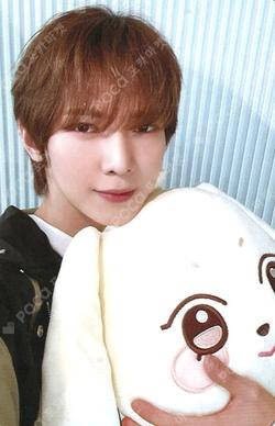 ATEEZ X ANITEEZ POP-UP EXHIBITION & STORE ANITEEZ IN ICE CITY PLUSH CUSHION
