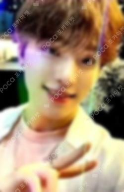 SECTOR 17 ON INN ASIA DINO photocard image