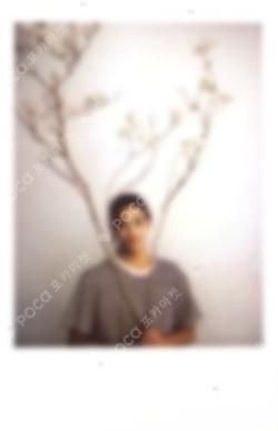 LIKE SEVENTEEN - Shining Diamond Photo Card A Set