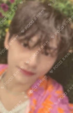 SECTOR 17 WEVERSE JAPAN