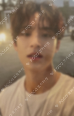 seventeen sector17 中華ヨントン トレカ ミンギュ SEVENTEEN セブチ 세븐틴トレカ 一覧 포카 _world SECTOR17 一覧 交換