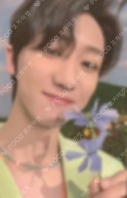 SECTOR 17 WEVERSE JAPAN