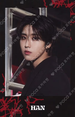 Stray Kids World Tour dominATE JAPAN Photo card Set